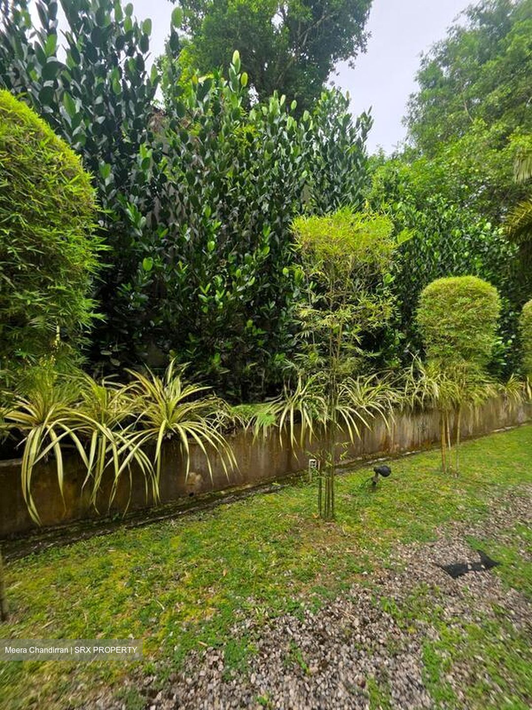 Ridout Road (D10), Detached #565980041